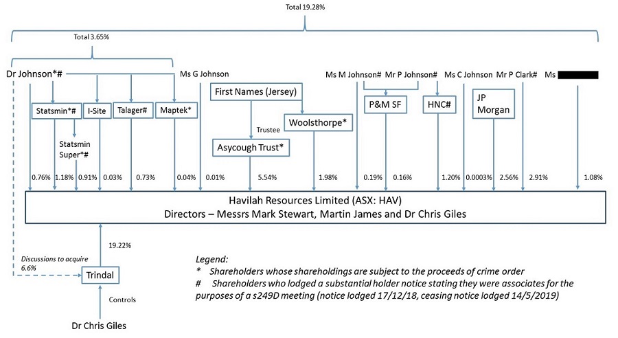 A diagram showing the shareholders of Havilah Resources Limited